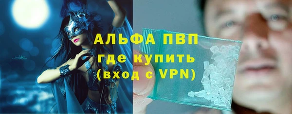 крисы Вязьма