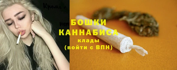 СК Вяземский