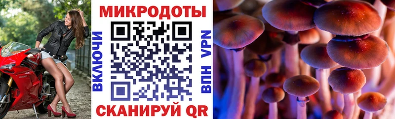 даркнет сайт  Всеволожск  Галлюциногенные грибы Psilocybine cubensis 